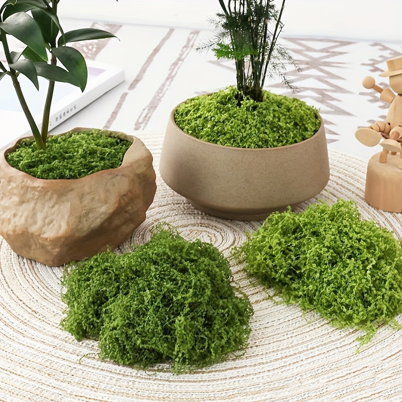 20g/0.7oz Artificial Garden Fa - Bonsai Garden Mini のレビューと価格