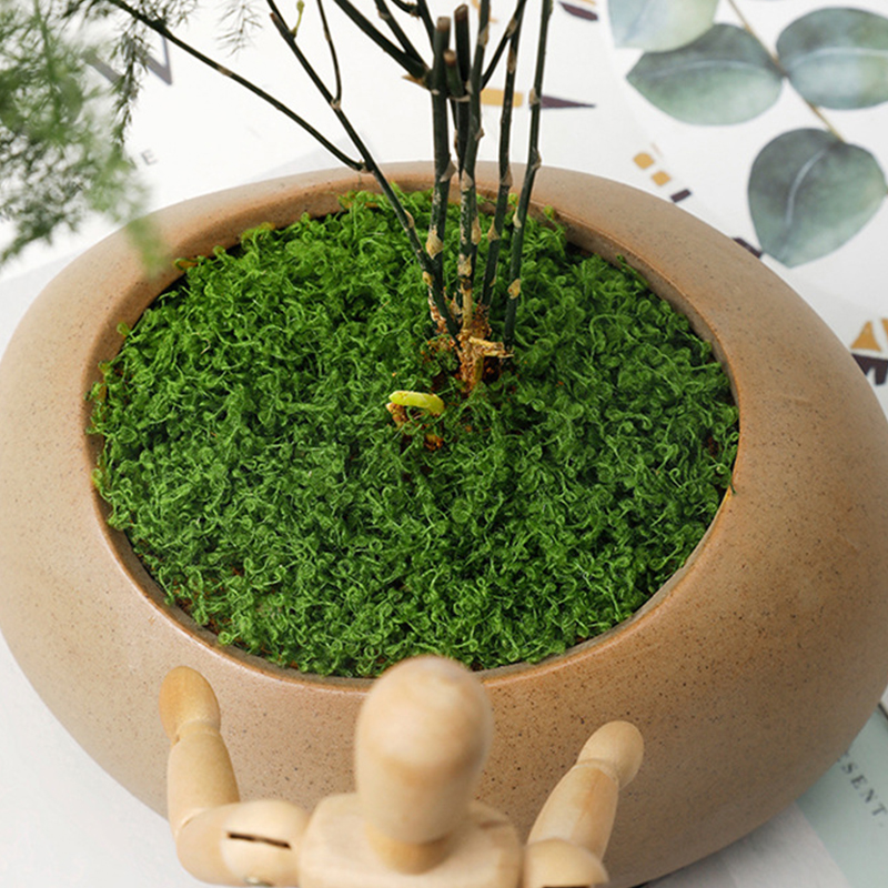 20g/0.7oz Artificial Garden Fa - Bonsai Garden Mini のレビューと価格