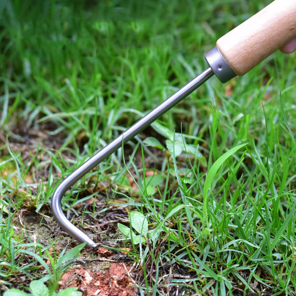 1PC Single Claw Hook Soil Loos - Bonsai Garden Plants のレビューと価格