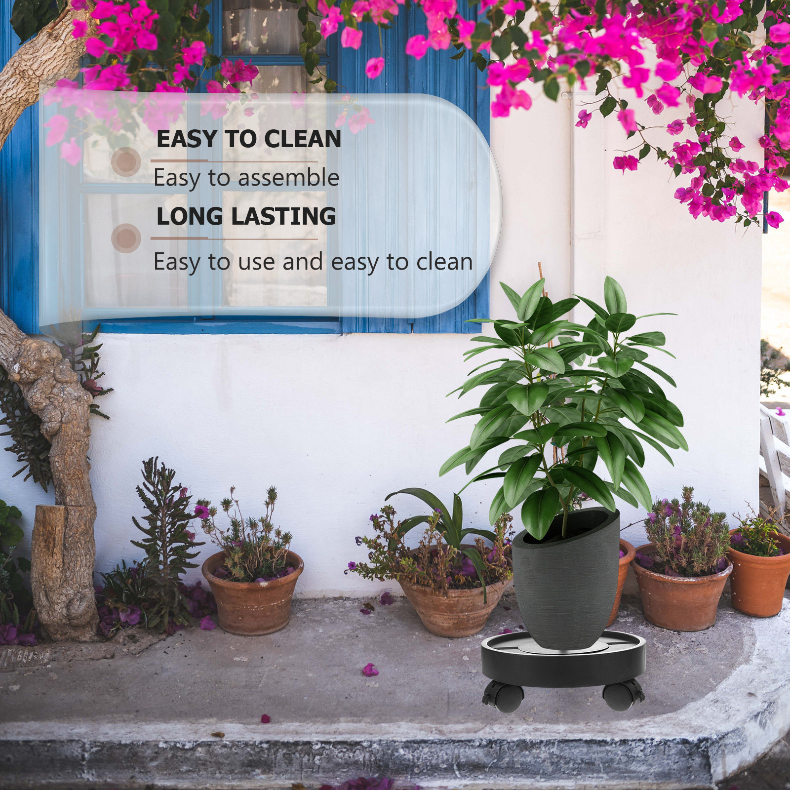 Automatic Water Absorption Bas - Bonsai Garden Plants のレビューと価格