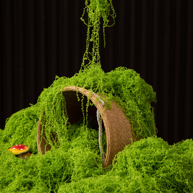 200g Eternal Life Moss DIY Cra - Bonsai Garden Mini のレビューと価格