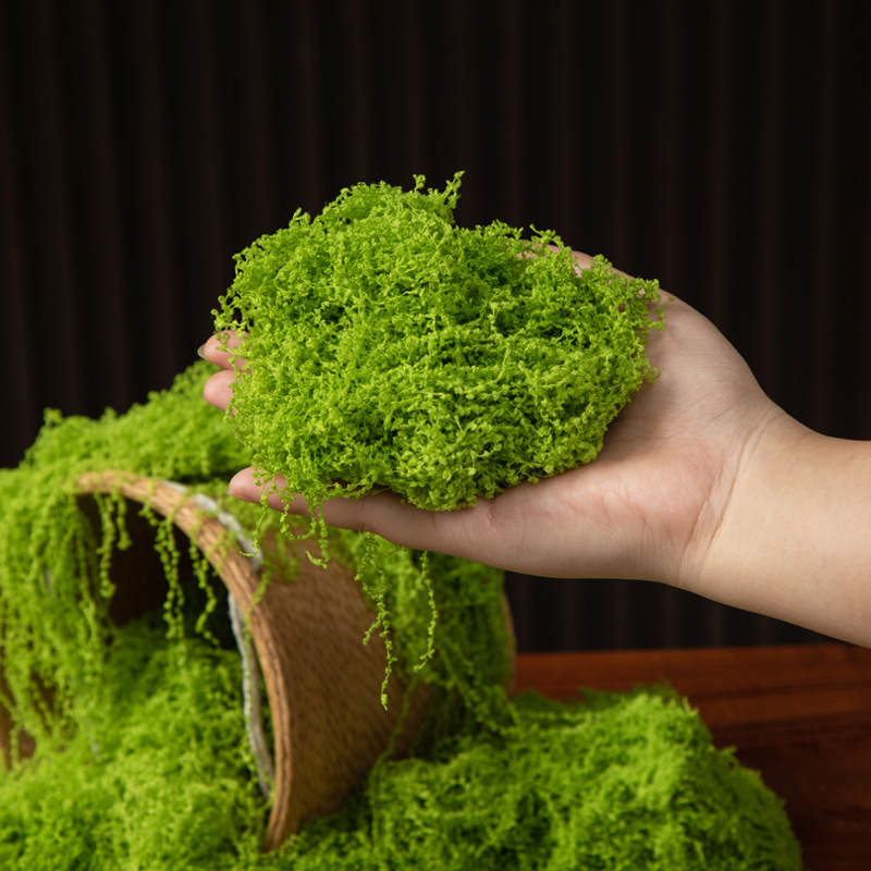 200g Eternal Life Moss DIY Cra - Bonsai Garden Mini のレビューと価格