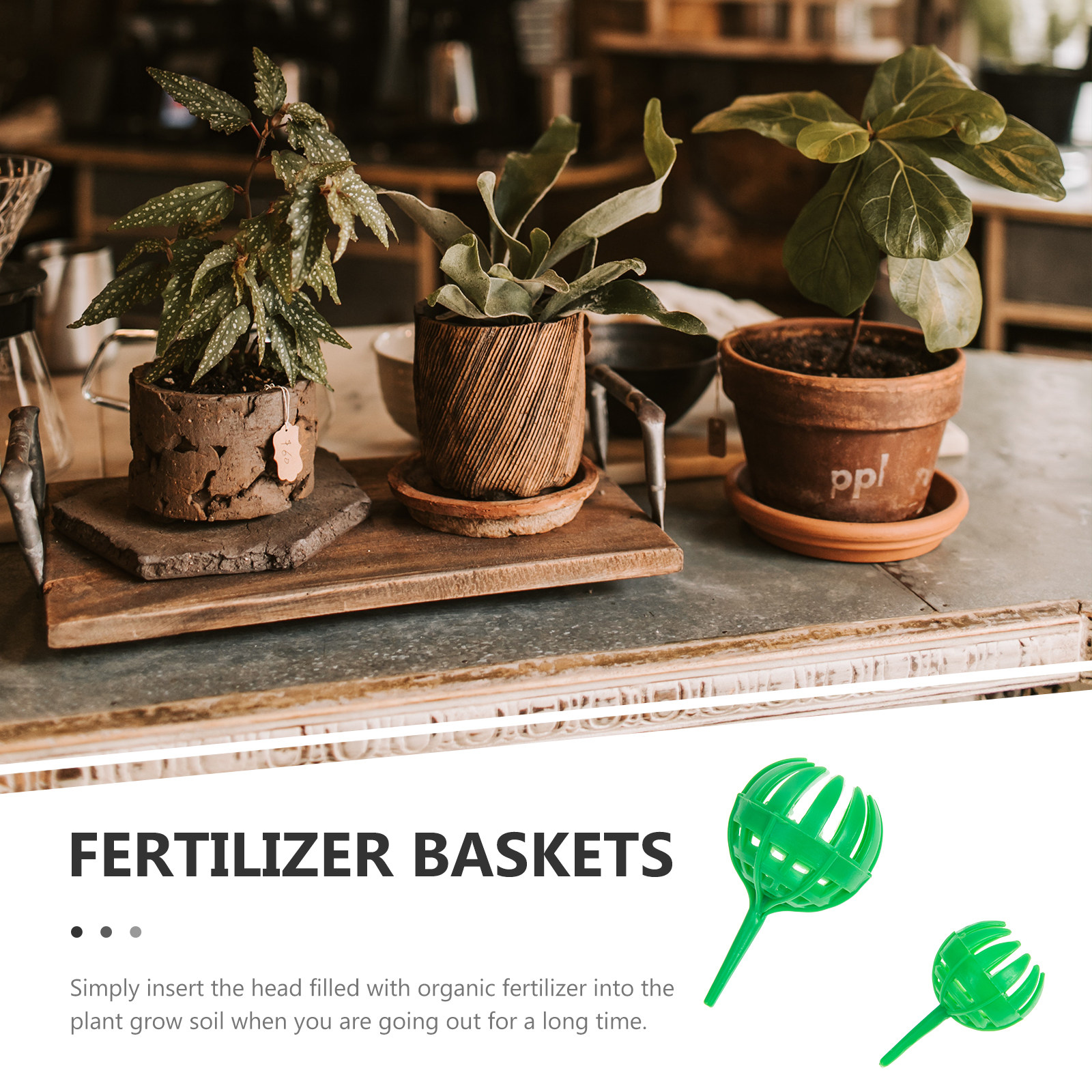 30Pcs Gardening Fertilizer Bas - Bonsai Garden Plants のレビューと価格