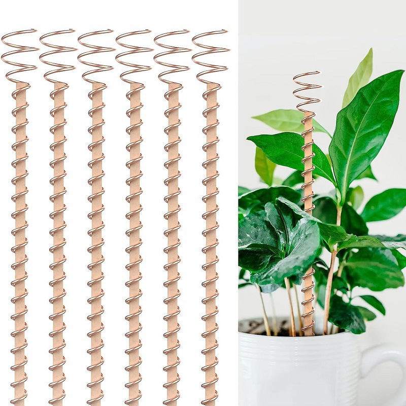 Bonsai Copper Electroculture P - Copper Wire Roll のレビューと価格