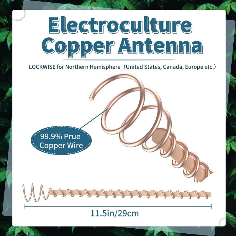 Bonsai Copper Electroculture P - Copper Wire Roll のレビューと価格