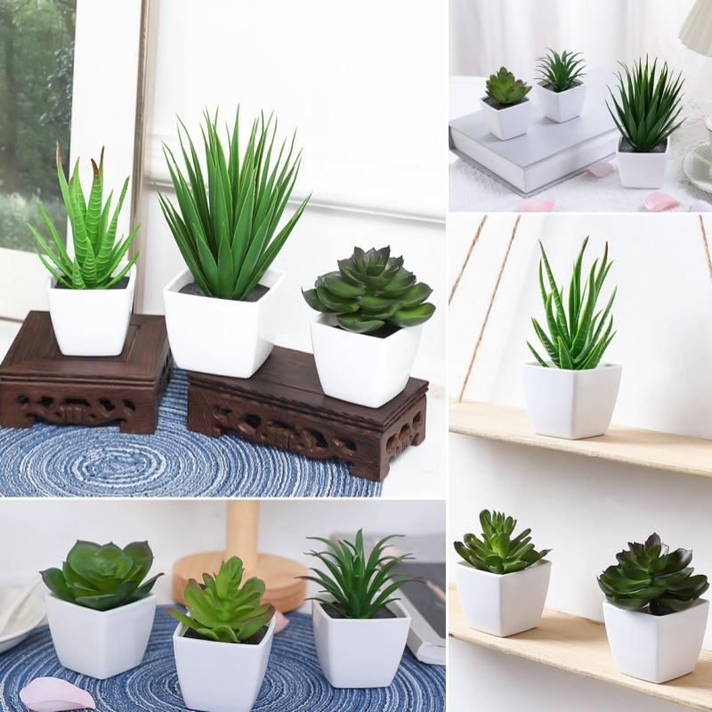 (A set of 3PCS) Simulated Mini - Bonsai Garden Mini のレビューと価格