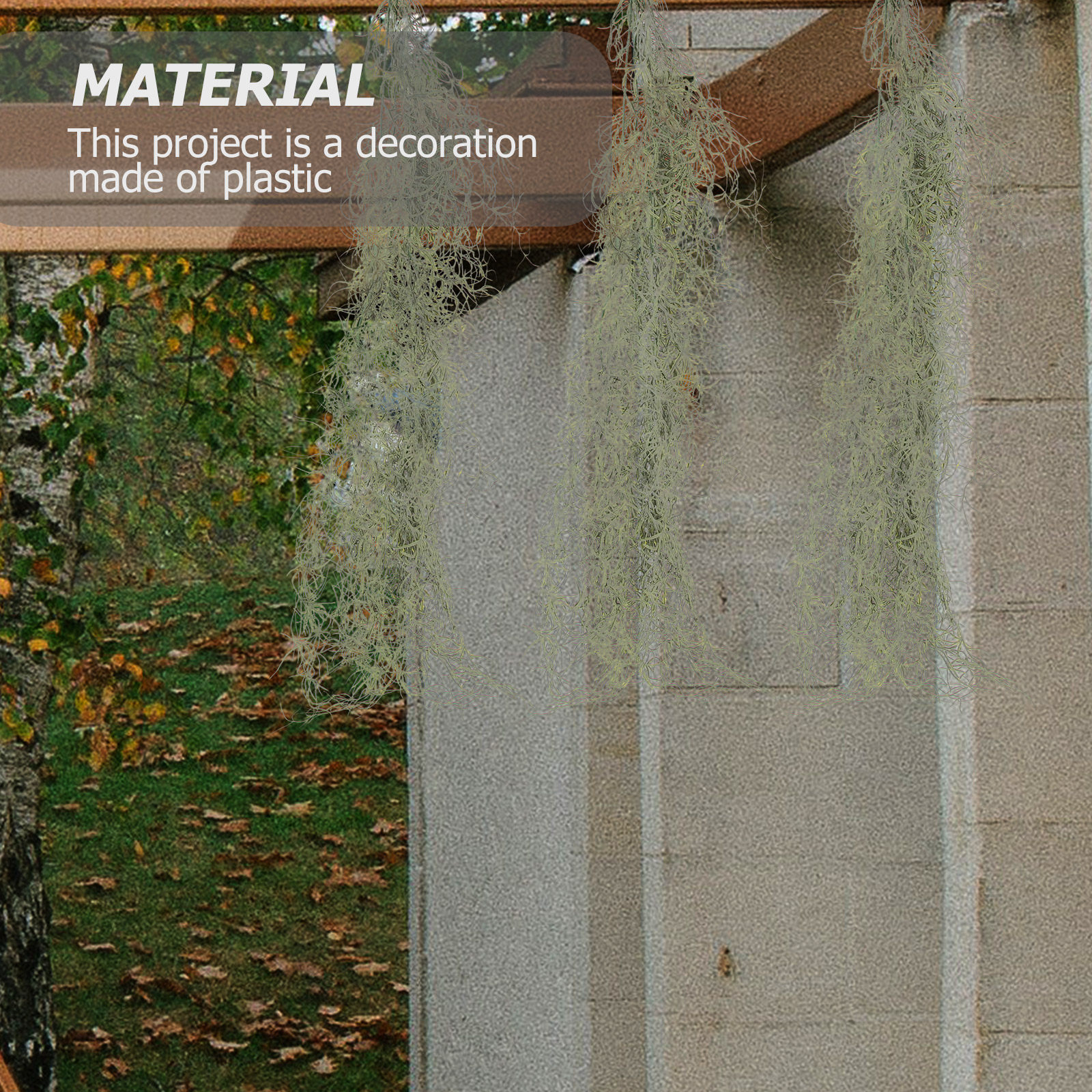 Dried Moss Decor for Potted Pl - Bonsai Garden Plants のレビューと価格