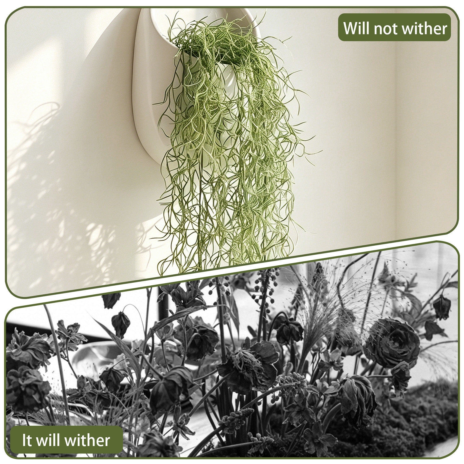 Dried Moss Decor for Potted Pl - Bonsai Garden Plants のレビューと価格