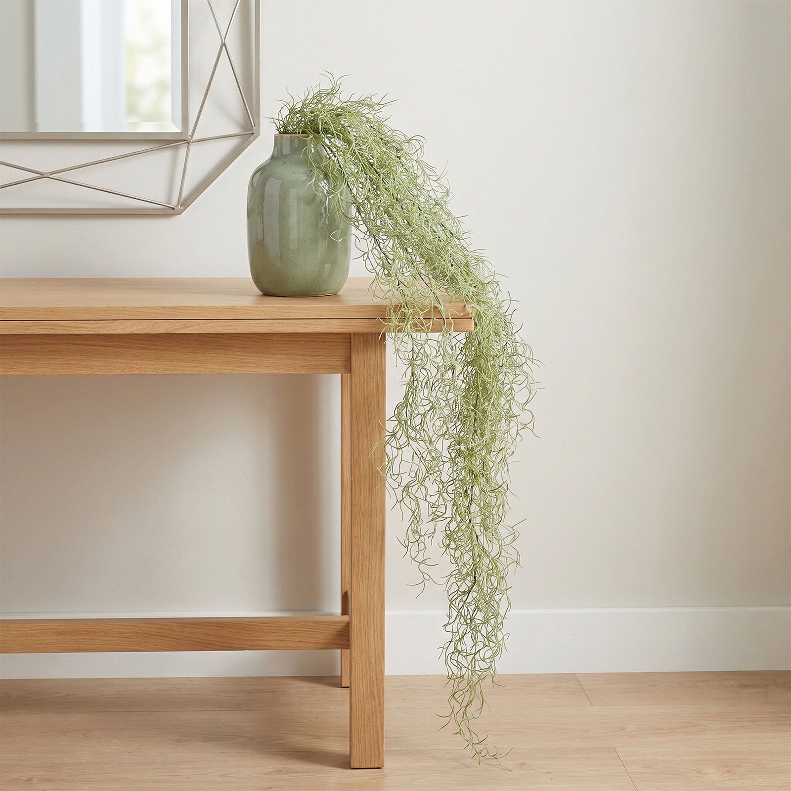 Dried Moss Decor for Potted Pl - Bonsai Garden Plants のレビューと価格