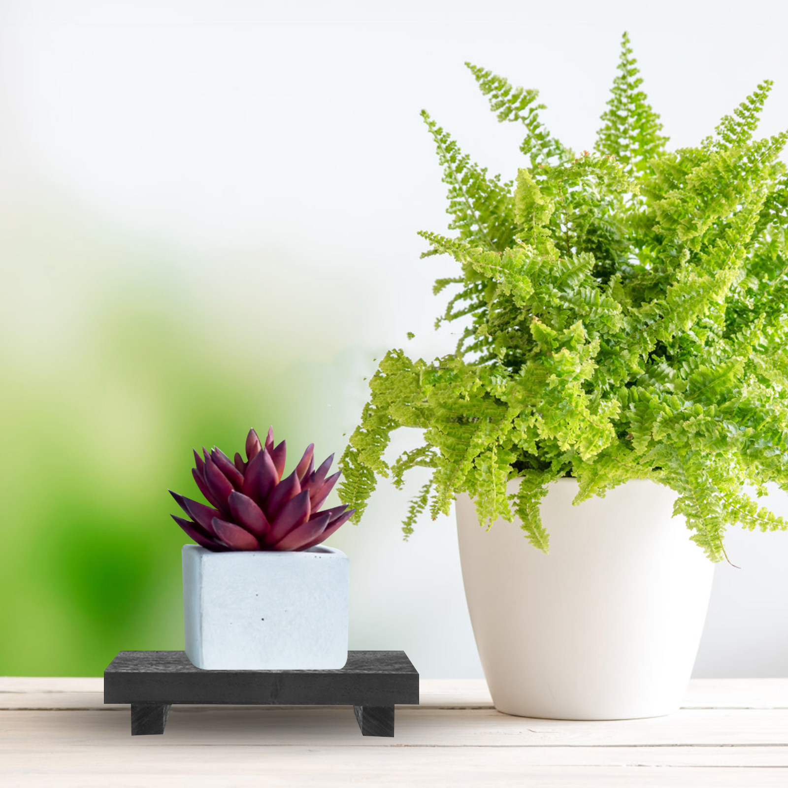 Wood Soap Riser Tray Rectangul - Display Stand Wood のレビューと価格