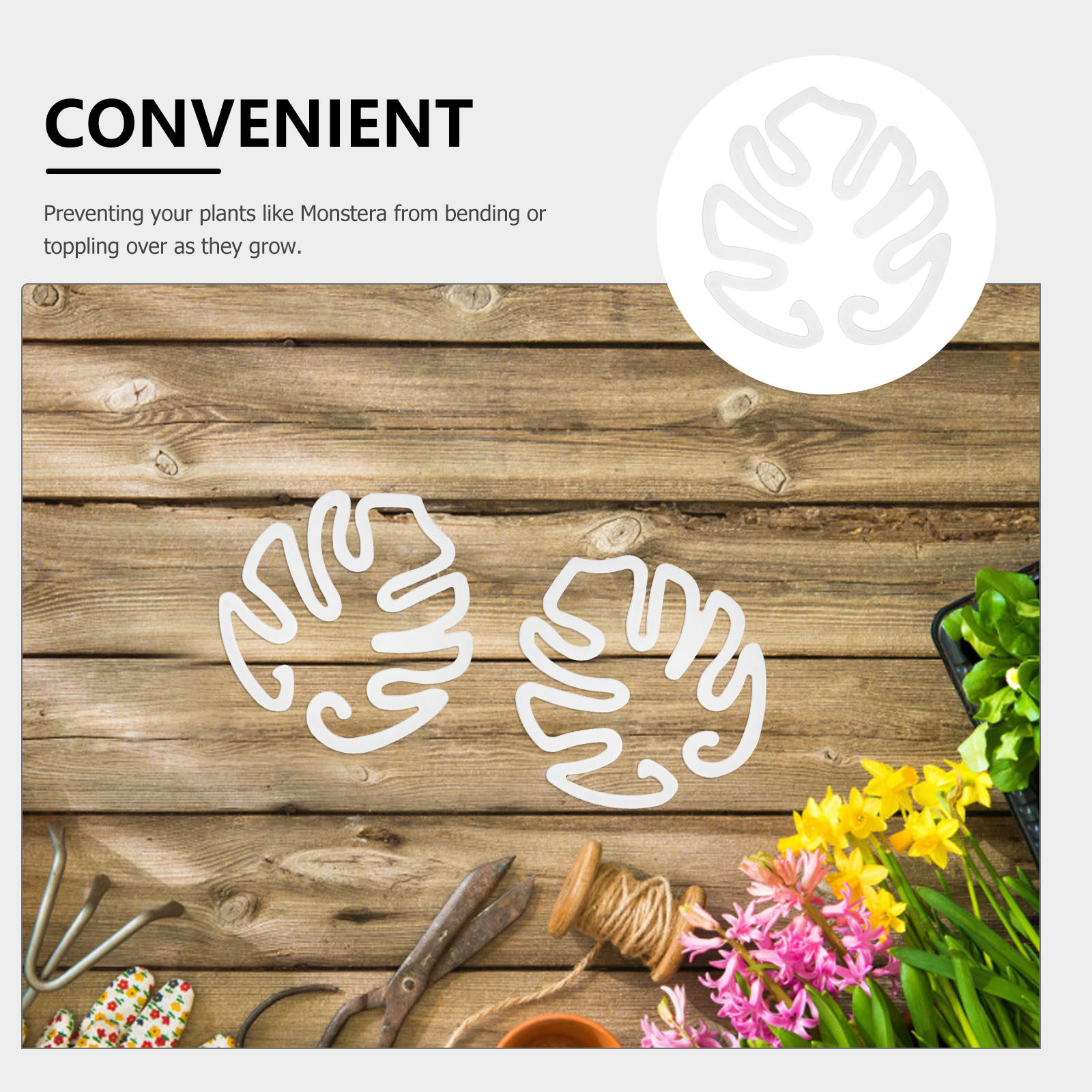 20Pcs Clear Plastic Plant Stem - Bonsai Garden Plants のレビューと価格