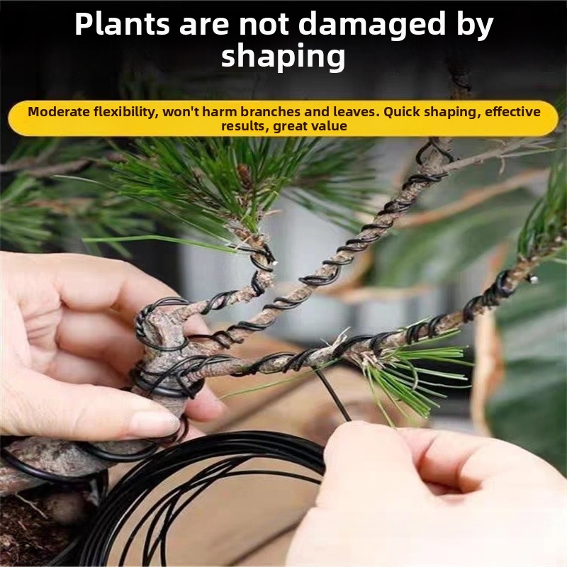 1.5MM Bonsai Wires Aluminum Bo - Bonsai Garden Plants のレビューと価格