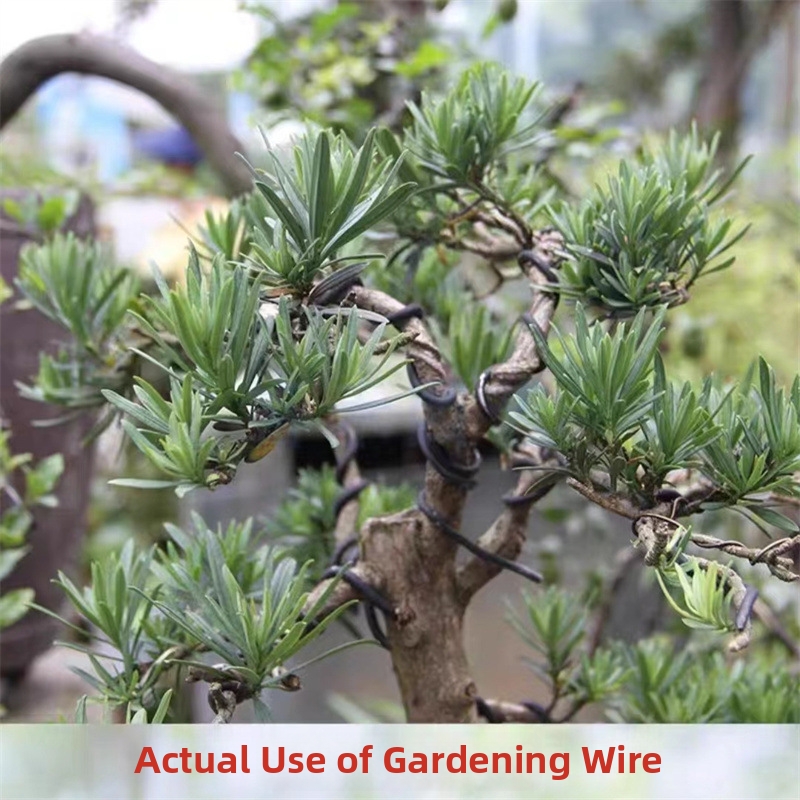 1.5MM Bonsai Wires Aluminum Bo - Bonsai Garden Plants のレビューと価格
