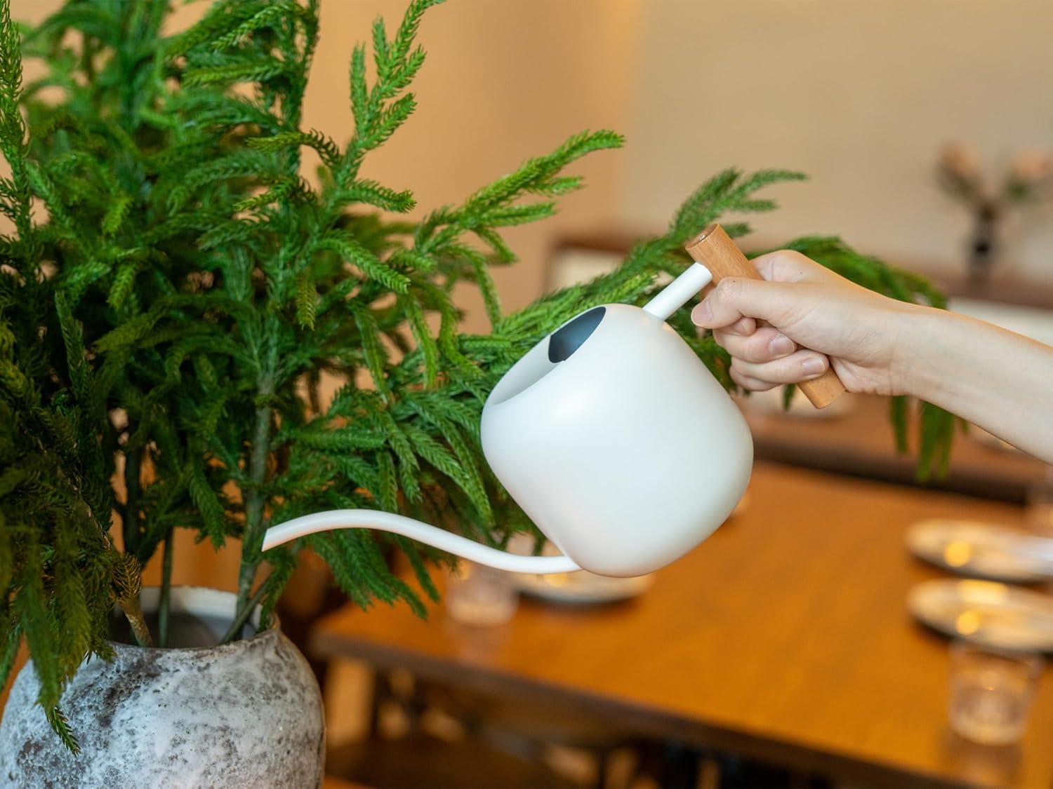 1.2L/41oz Metal Watering Can w - Bonsai Garden Plants のレビューと価格