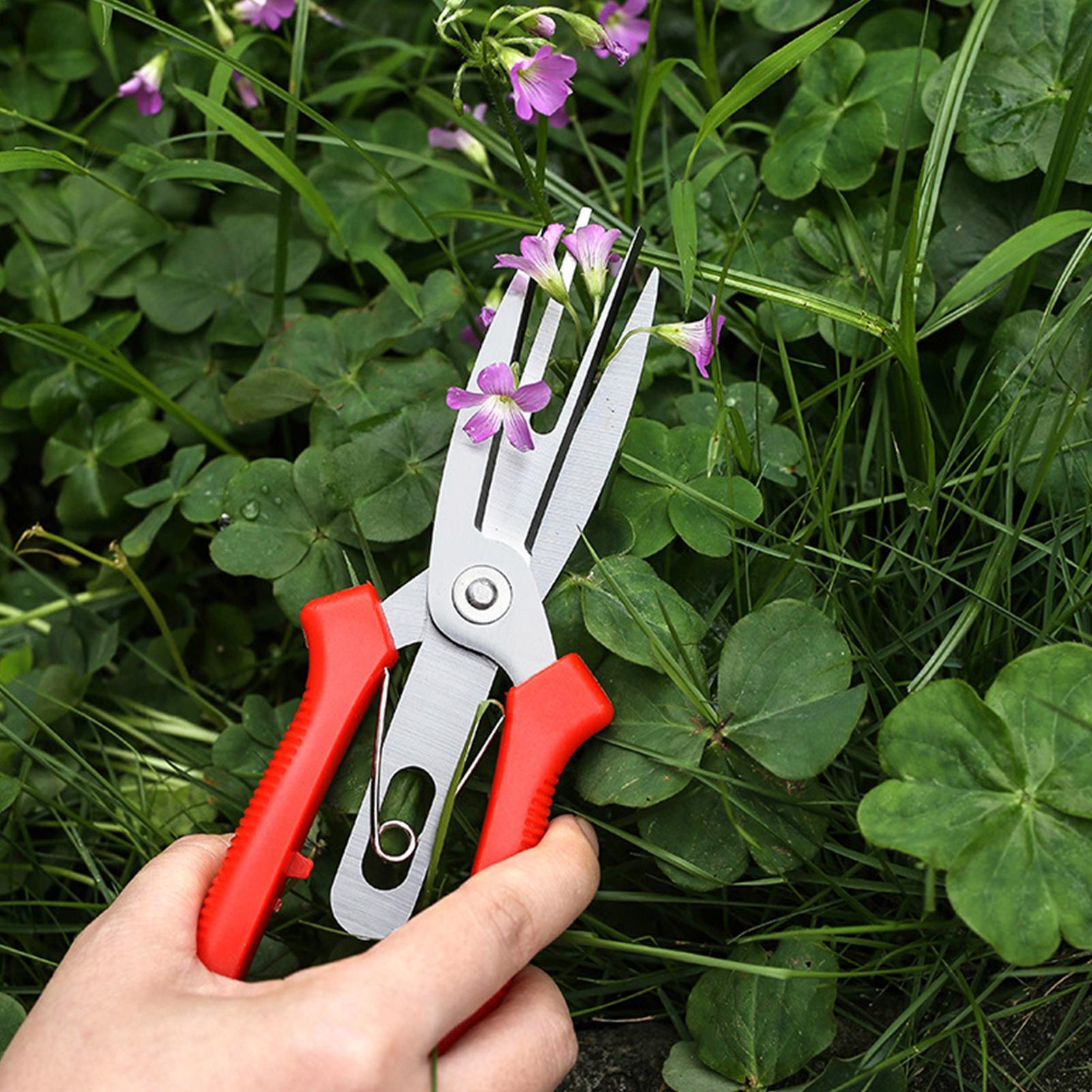 Garden Shears Stainless Steel  - Bonsai Garden Plants のレビューと価格