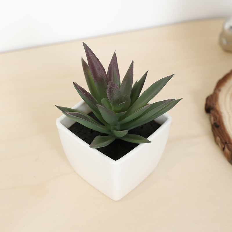 Mini Artificial Succulent Fair - Bonsai Garden Mini のレビューと価格