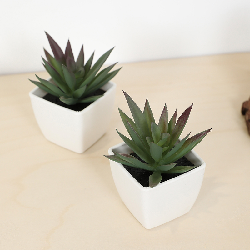Mini Artificial Succulent Fair - Bonsai Garden Mini のレビューと価格
