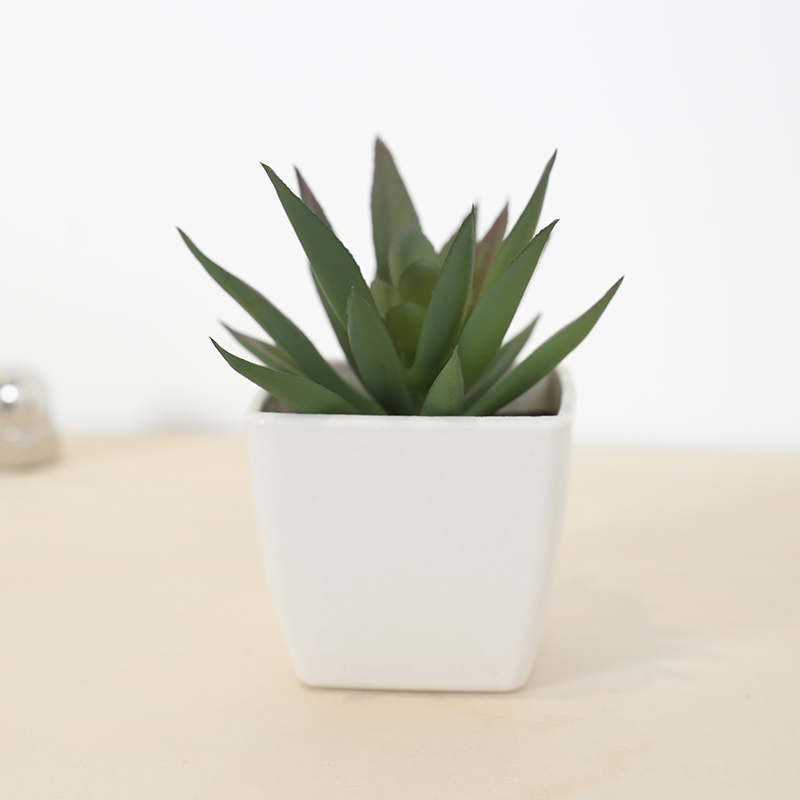 Mini Artificial Succulent Fair - Bonsai Garden Mini のレビューと価格