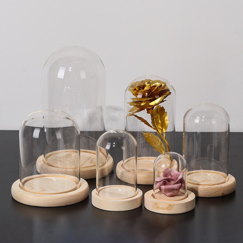 Glass Cloche Jar Display Stand - Display Stand Wood のレビューと価格
