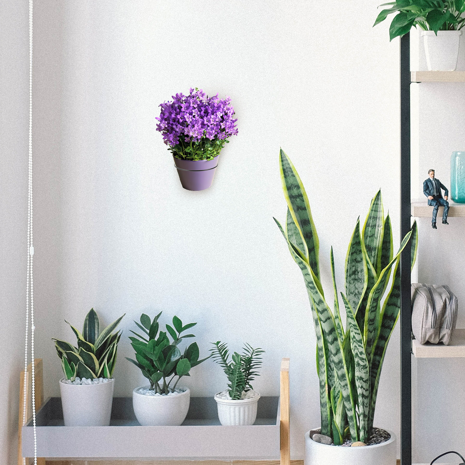 Iron Wall-Mounted Flowerpot Ra - Bonsai Garden Plants のレビューと価格
