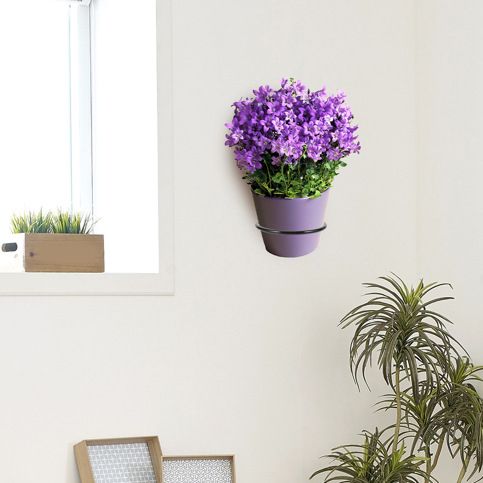 3Pcs Plant Pot Holder Wall Mou - Bonsai Garden Plants のレビューと価格